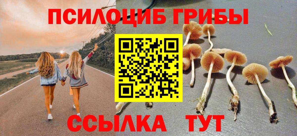 Галлюциногенные грибы прущие грибы Кондопога