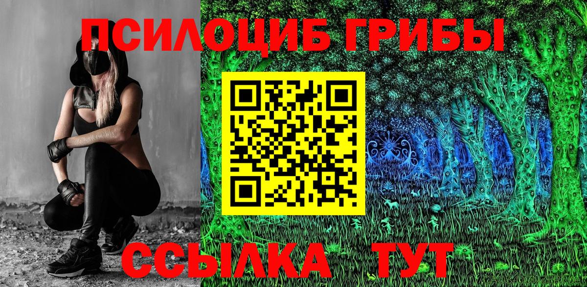 Кондопога  Псилоцибиновые грибы прущие грибы  Вход с VPN 